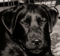 /album/fotogaleria/dsc2434-1basilio-3-640x594-jpg/